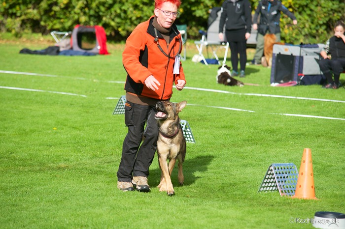 LHK DSC_3844